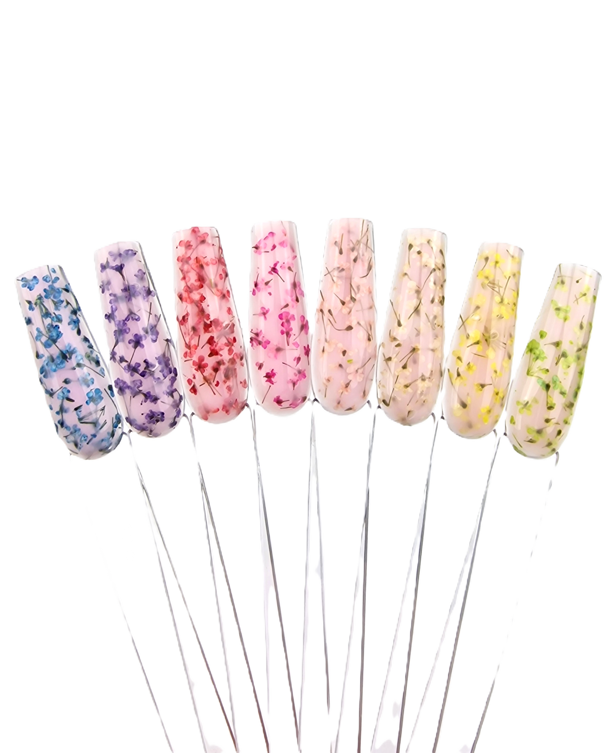 Dried Flowers